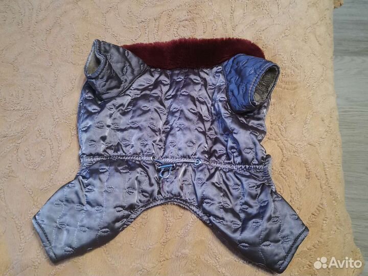 Продаю курточку для маленьких собачек