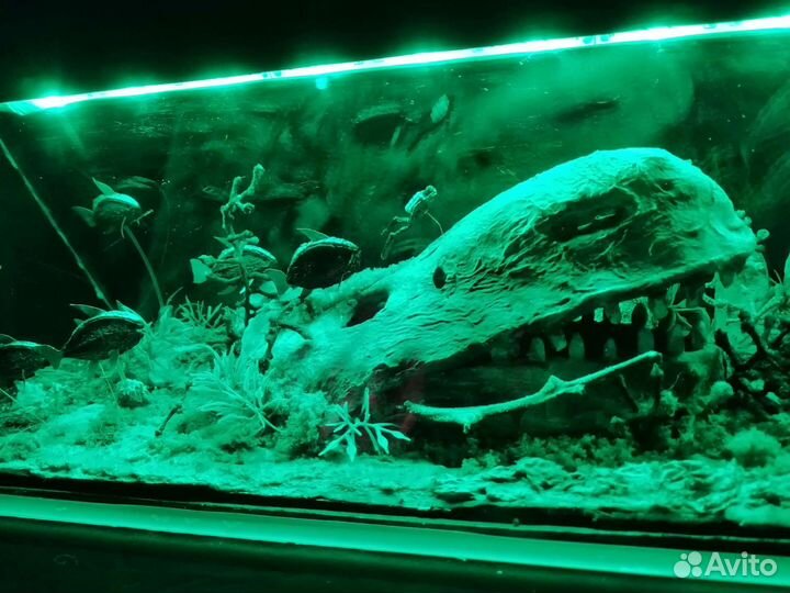 Погружение