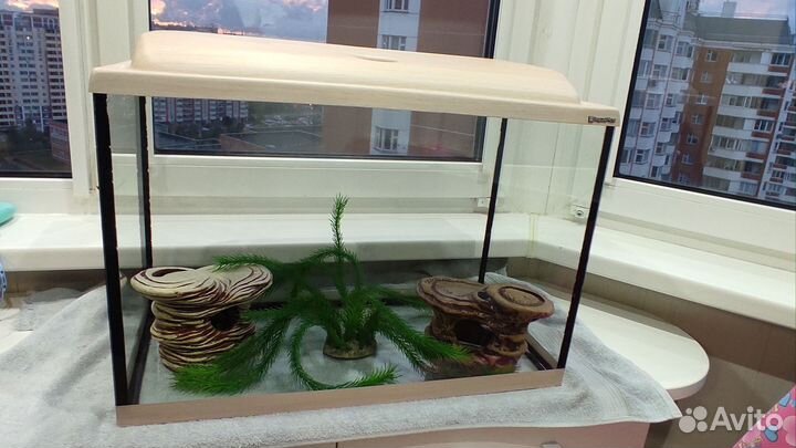 Аквариум