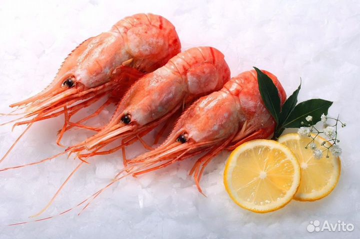 Креветка Ботан