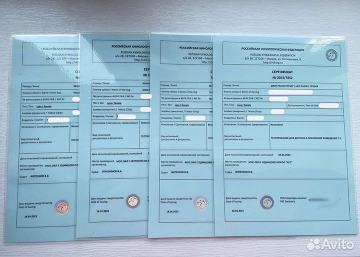 Клеймение Обмен документов Фото помета