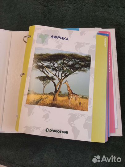 Атлас целый мир в твоих руках