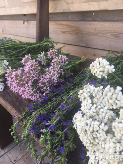 Душистые травы