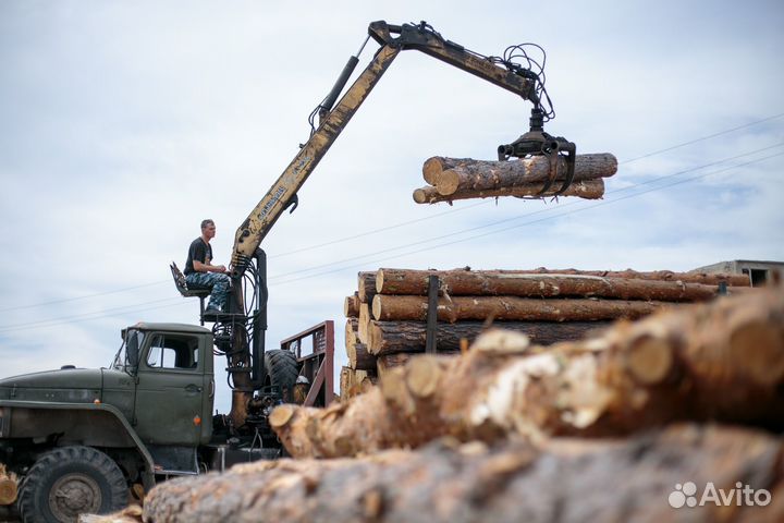 Доска обрезная 25х100х6000 мм, хвоя, сорт 1, е/в