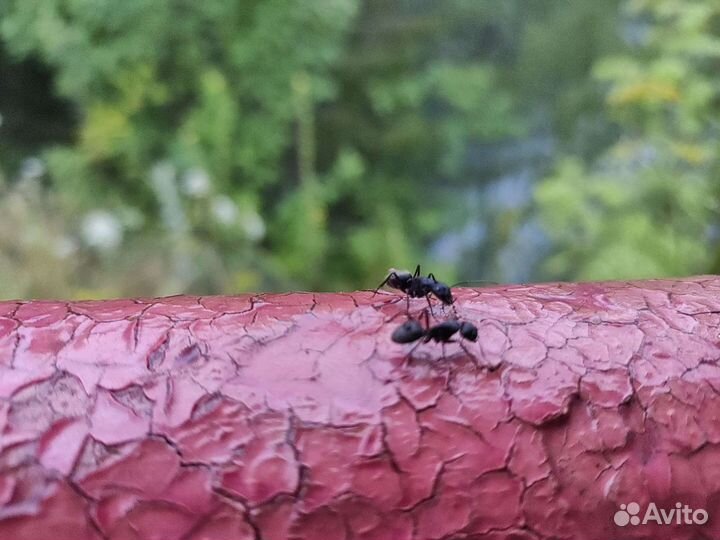 Промокоды Скидки Мвидео бесплатно по всей РФ