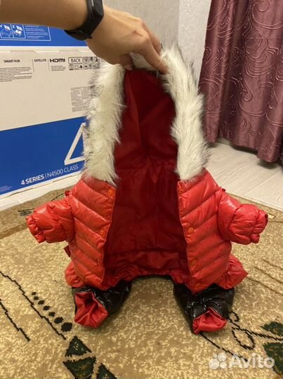 Куртка для маленькой собаки