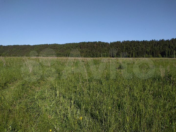 Участок 10 сот. (СНТ, ДНП)