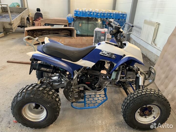 Ирбис250s