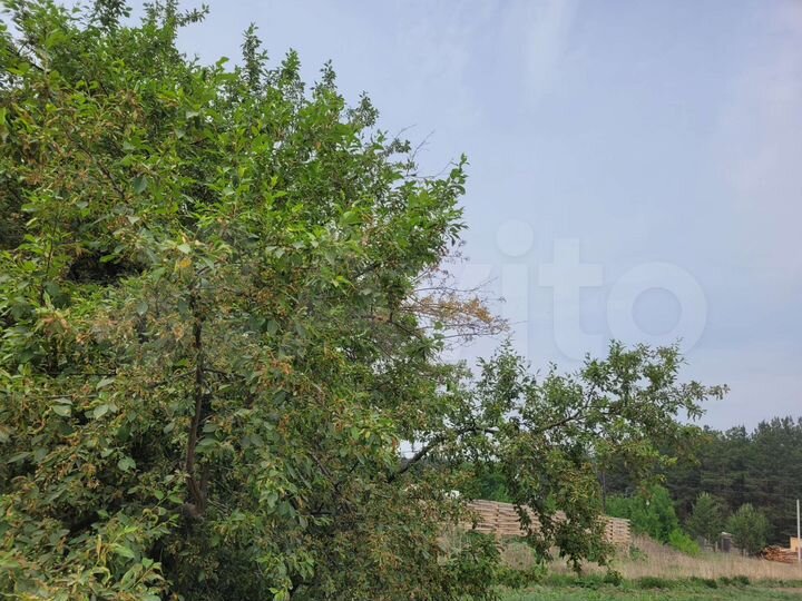 Участок 8 сот. (ИЖС)