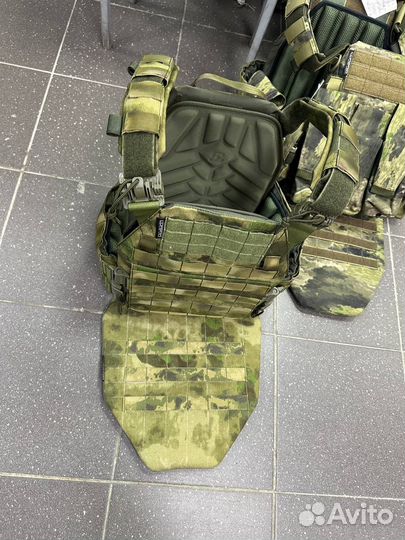 Плитоносец пират про мох