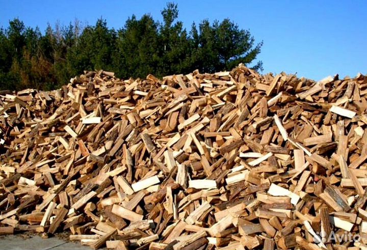 Дрова ольха осина береза