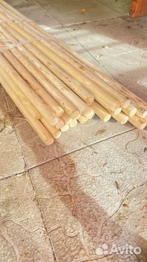 Черенок нагель