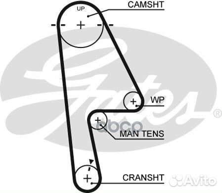 Ремень грм gates 5529XS honda Civic VI 01-05 5