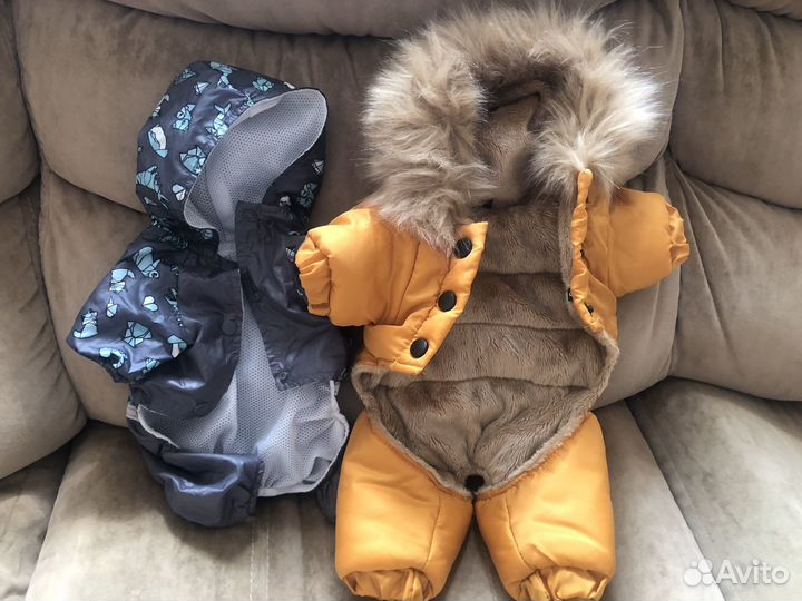 Одежда для собак