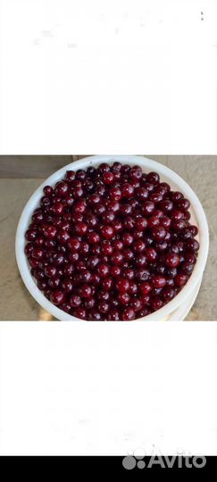 Вишня свежая