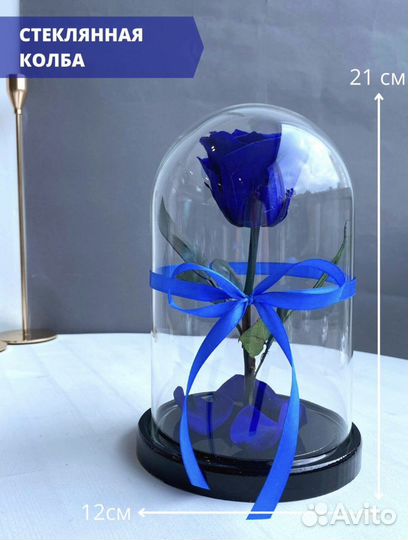Роза в колбе