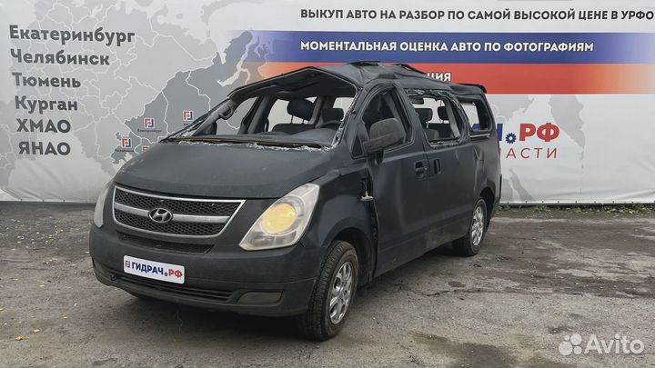 Дефлектор воздушный Hyundai Grand Starex (TQ) 973634H000WK