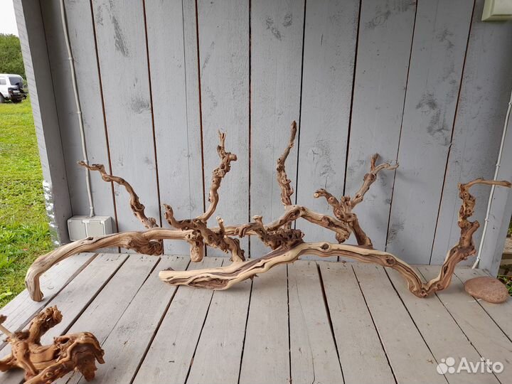 Коряги ветки лоза