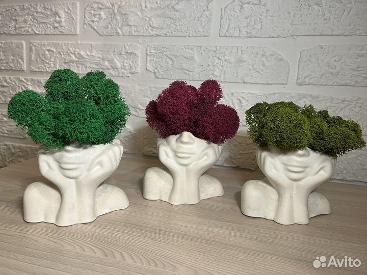 Кашпо со мхом Мечтательница