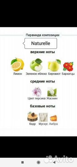 Всё для вашей красоты. Бренд Ив Роше