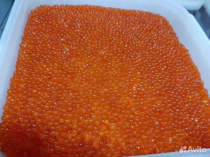 Икра красная горбуши оптом свежий улов