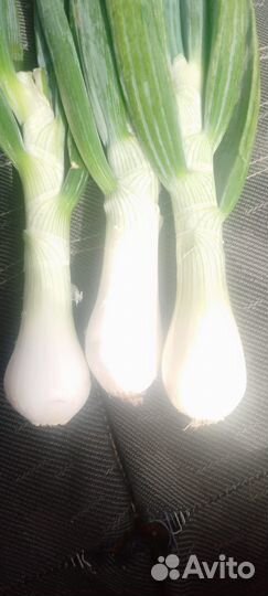 Картофель молодой