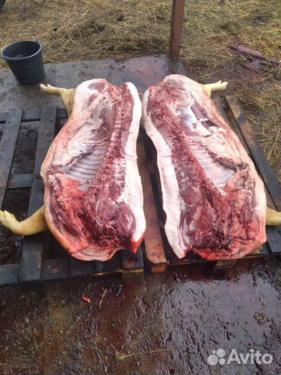 Забой свиней