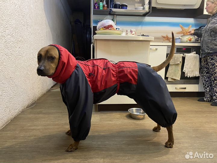 Зимний комбинезон для крупной собаки