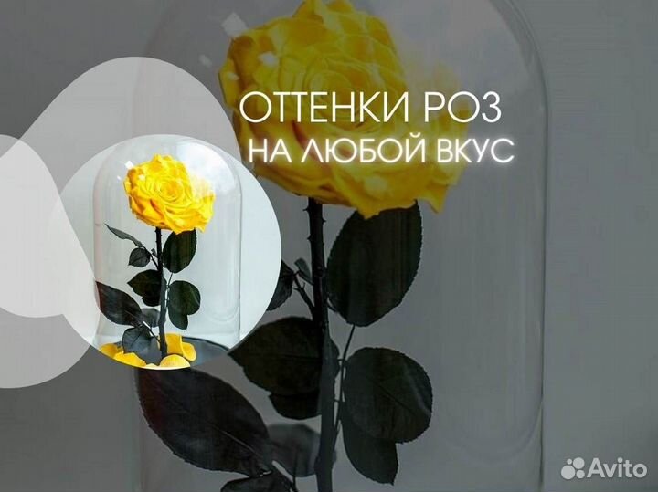 Розы в колбе любые