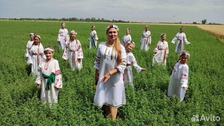 Сено люцерны в тюках