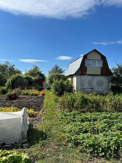 Дача 24 м² на участке 10 сот.