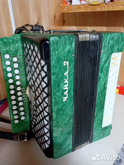 Гармонь чайка2