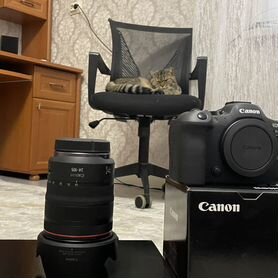 Canon eos r6 mark ii RF 24 105