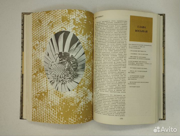 Ч. Дарвин. Происхождение видов путем естественного