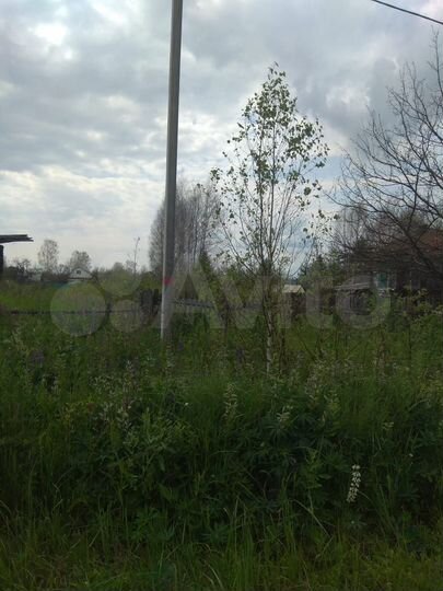 Участок 25 сот. (ИЖС)