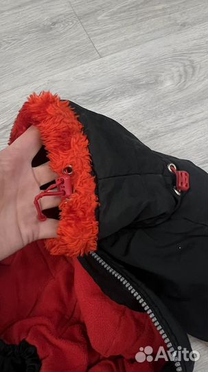 Зимний комбинезон левретка