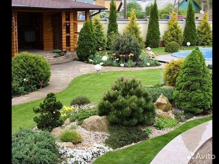 Ландшафтный дизайн 22 сотки земельного участка \ П