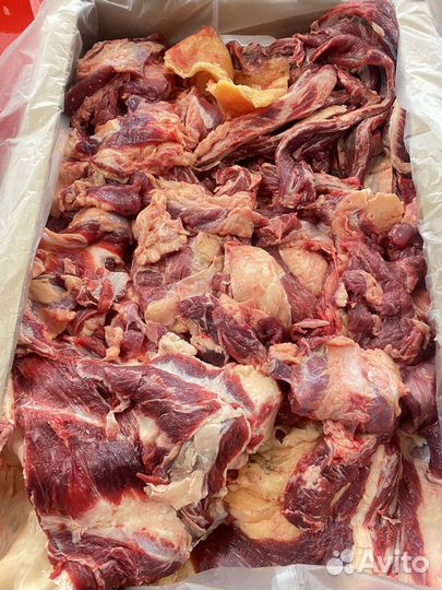 Мясо говядины котлетное на фарш