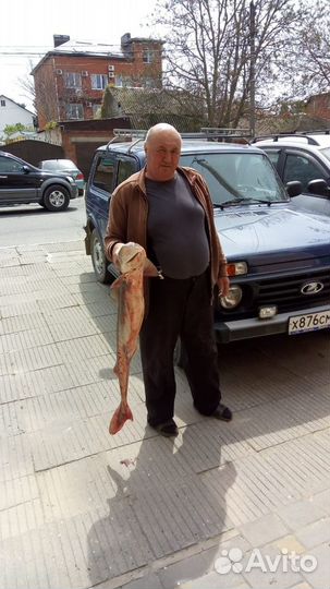 Аренда катера, Морские прогулки, VIP Рыбалка