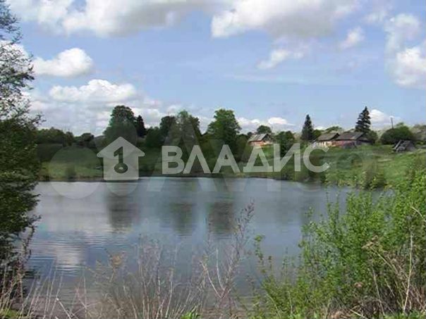 Участок 10 га (личное подсобное хозяйство (лпх))