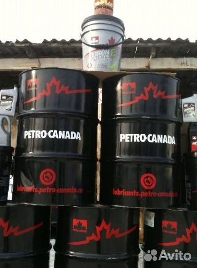 Моторное масло petro-canada 10w30