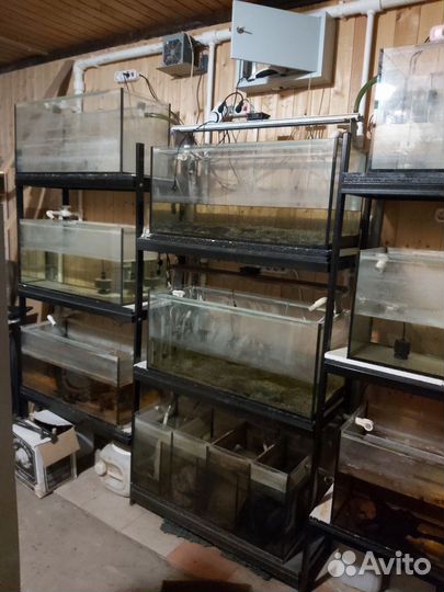 Внешний фильтр.самп