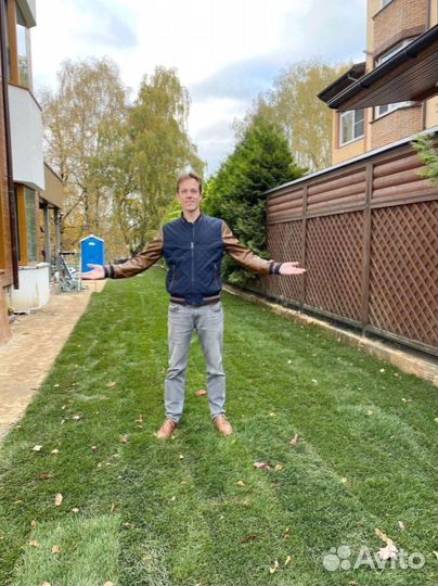 Рулонный газон 