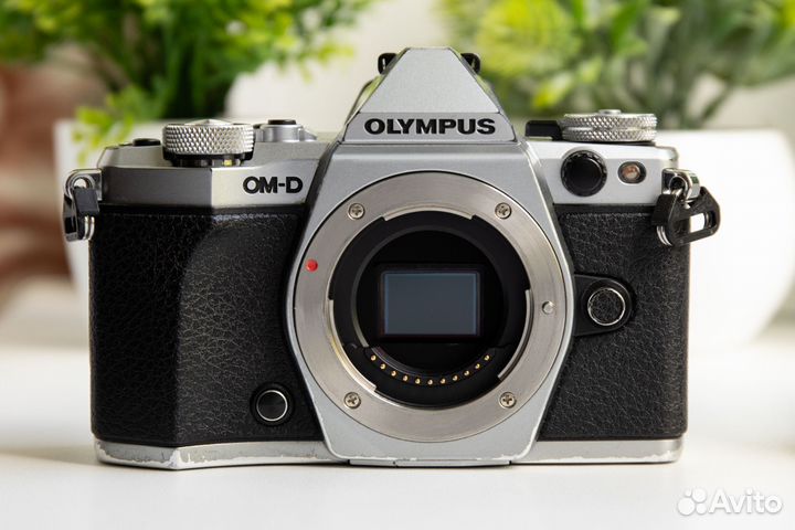 Olympus OM-D E-M5 Mark II Kit
