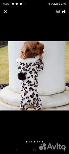 Одежда для маленькой собаки
