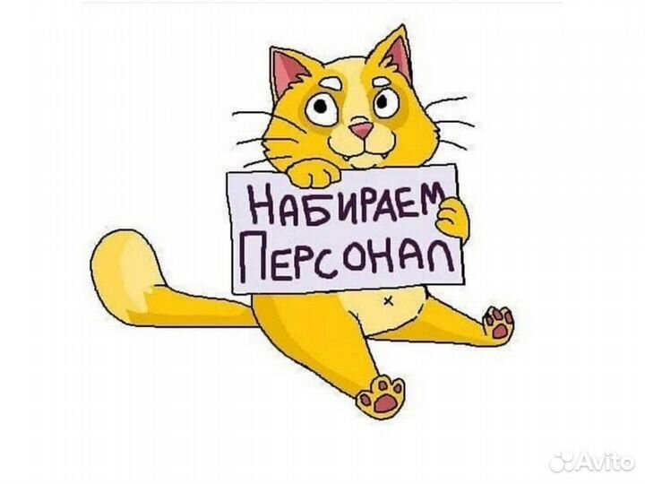 Вахта Ждем Сортировщика на Склад мобильной техники