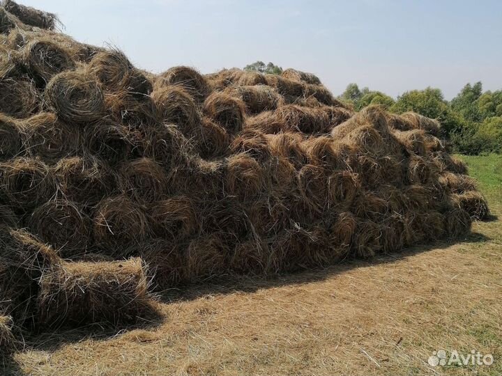Сено луговое