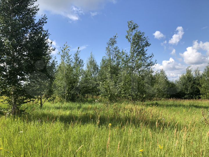 Участок 15000 га (СНТ, ДНП)