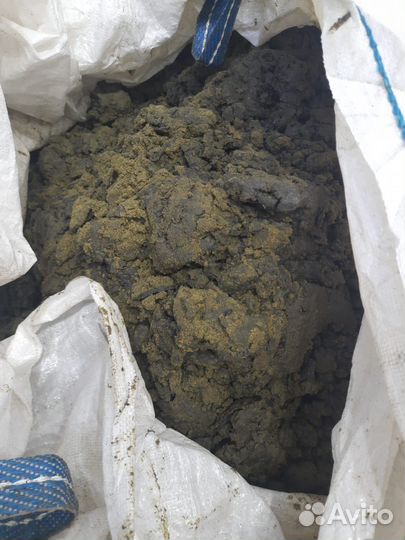 Фуз рапсовый