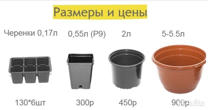 Укорененные черенки ампельная петуния опт